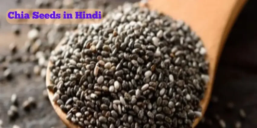 Chia Seeds in Hindi